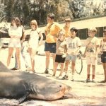 13 Ft Tiger Shark at Midway Island