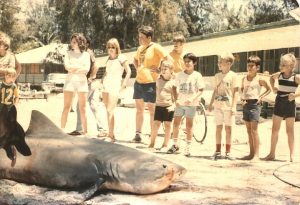 13 Ft Tiger Shark at Midway Island