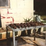 The Lobster Table at Koral Kings