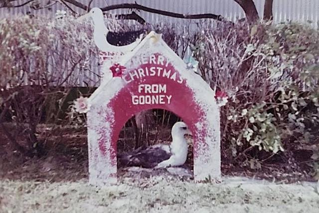 Midway Island Christmas