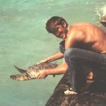 Tagging turtles at Midway Island