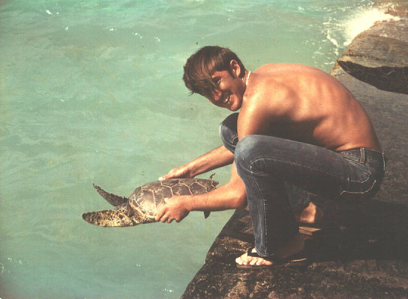 Tagging turtles at Midway Island