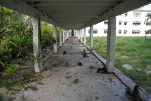 Breezeway to The Midway Island Chow Hall