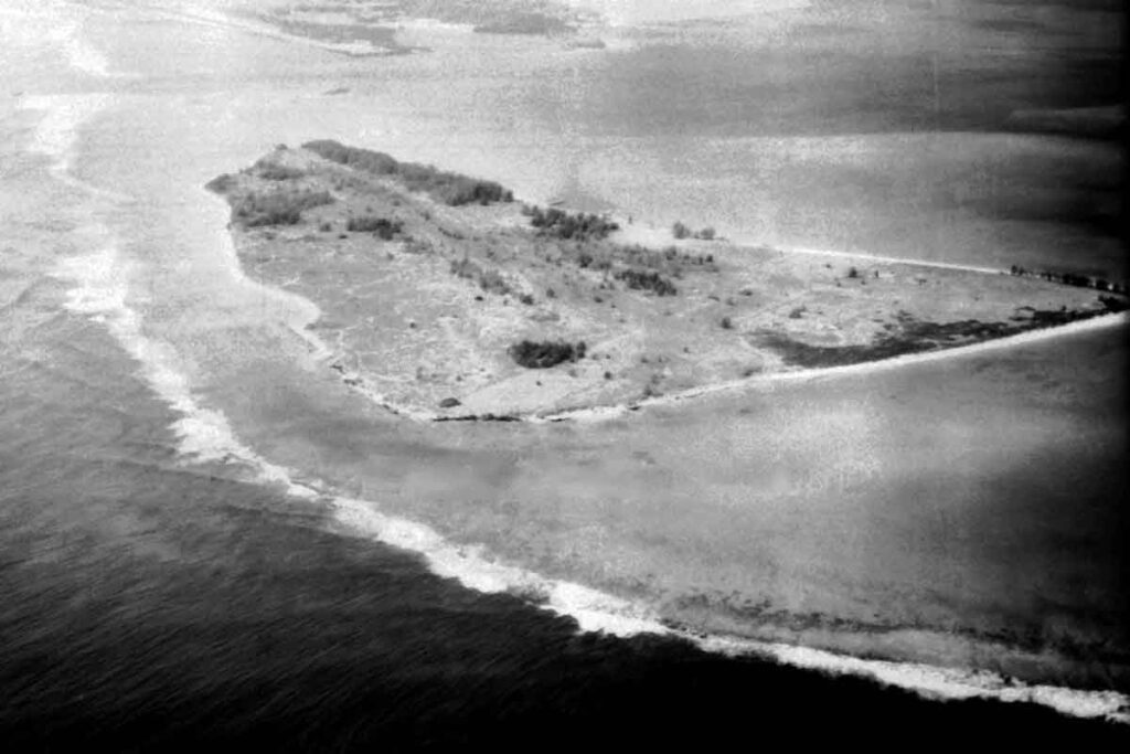 Eastern Island - The Home to The Donkeys of Midway